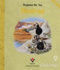 Doğanın Bir Yılı - Haziran