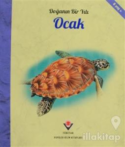 Doğanın Bir Yılı - Ocak
