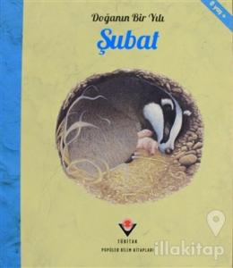 Doğanın Bir Yılı - Şubat