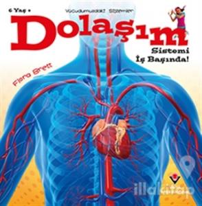 Dolaşım Sistemi İş Başında! - Vücudumuzdaki Sistemler