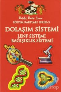 Dolaşım Sistemi, Lenf Sistemi, Bağışıklık Sistemi - Eğitim Kartları Serisi 3