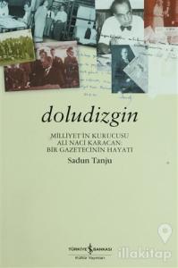 Doludizgin