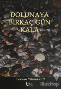 Dolunaya Birkaç Gün Kala