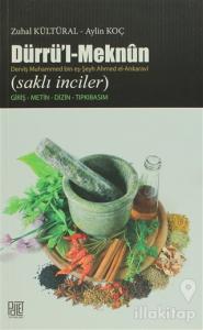 Dürrü'l-Meknun Derviş Muhammed Bin eş-Şeyh Ahmed el-Ankaravi