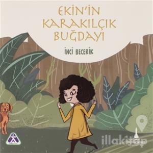 Ekin'in Karakılçık Buğdayı