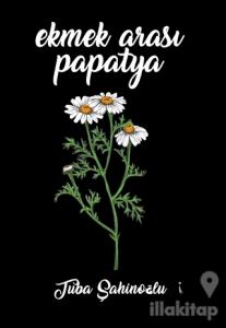 Ekmek Arası Papatya