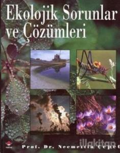 Ekolojik Sorunlar ve Çözümleri