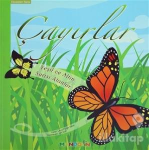 Ekosistem 2. Kitap: Çayırlar