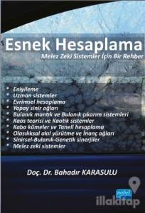 Esnek Hesaplama