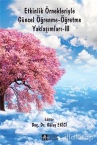 Etkinlik Örnekleriyle Güncel Öğrenme - Öğretme Yaklaşımları 3