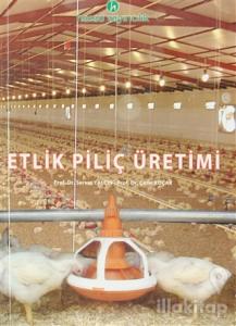 Etlik Piliç Üretimi