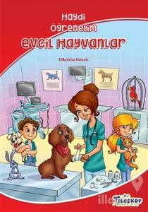 Evcil Hayvanlar – Haydi Öğrenelim