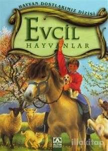 Evcil Hayvanlar