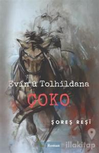 Evin U Tolhildana Çoko