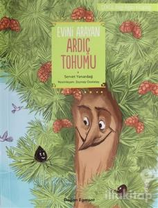 Evini Arayan Ardıç Tohumu