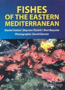 Fishes Of The Eastern Mediterranean