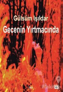 Gecenin Yırtmacında