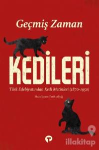 Geçmiş Zaman Kedileri