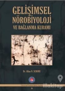 Gelişimsel Nörobiyoloji ve Bağlanma Kuramı