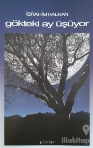 Gökteki Ay Üşüyor