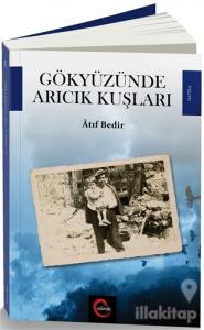 Gökyüzünde Arıcık Kuşları