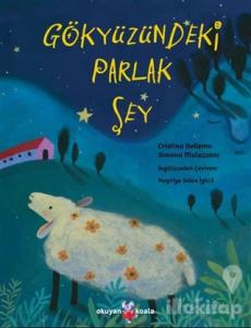 Gökyüzündeki Parlak Şey