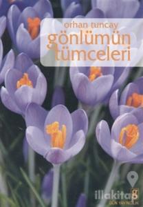 Gönlümün Tümceleri