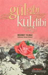 Gül Gibi Kül Dibi