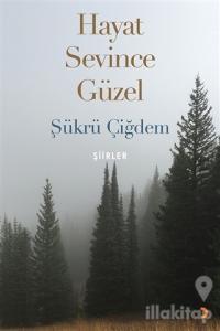 Hayat Sevince Güzel