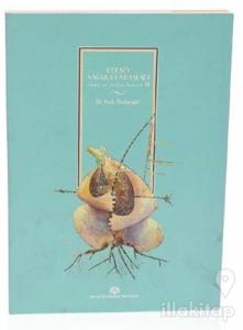 Herşey Yağmurla Başladı