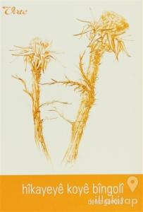 Hikayeye Koye Bingoli