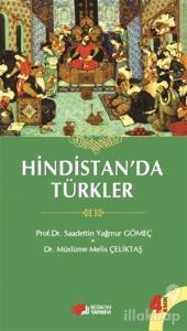 Hindistan'da Türkler