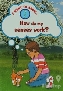 How Do My Senses Work?