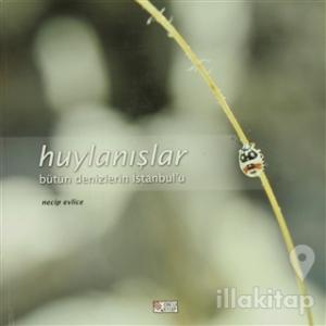Huylanışlar