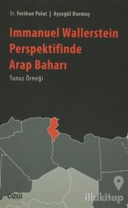 Immanuel Wallerstein Perspektifinde Arap Baharı Tunus Örneği