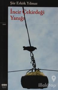 İncir Çekirdeği Yanığı