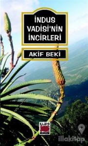 İndus Vadisi'nin İncirleri