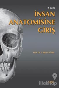 İnsan Anatomisine Giriş