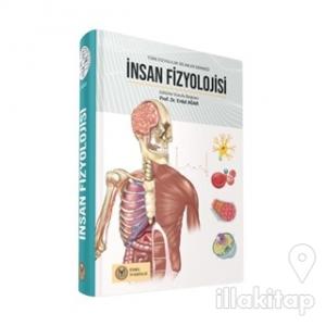İnsan Fizyolojisi