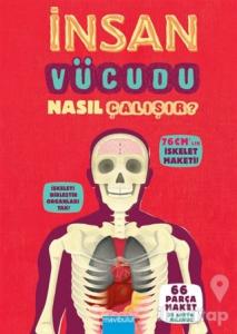 İnsan Vücudu Nasıl Çalışır? (Ciltli)