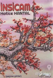 İnsicam