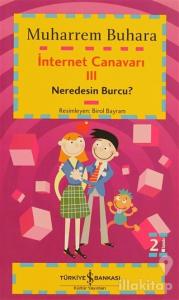 İnternet Canavarı 3:  Neredesin Burcu?