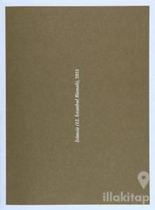 İsimsiz (12. İstanbul Bienali) 2011