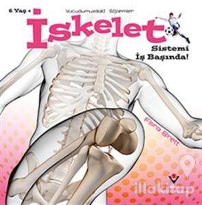 İskelet Sistemi İş Başında! - Vücudumuzdaki Sistemler