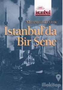 İstanbul'da Bir Sene