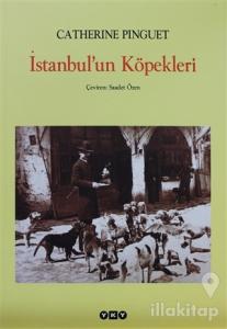 İstanbul'un Köpekleri