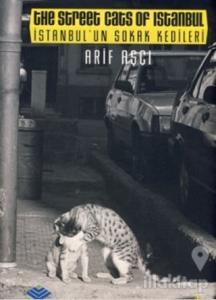 İstanbul'un Sokak Kedileri