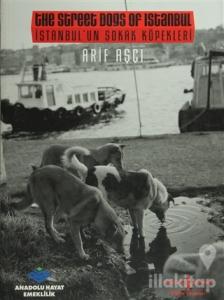 İstanbul'un Sokak Köpekleri /  The Street dogs Of Istanbul