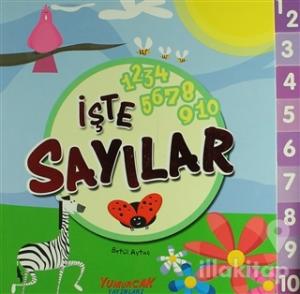 İşte Sayılar