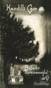 Kandilli Çam